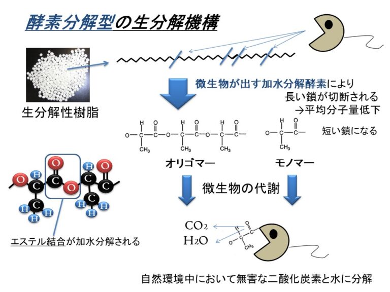 生分解性プラスチック(biodegradable plastic)～分解機構編～ | ECOsyou